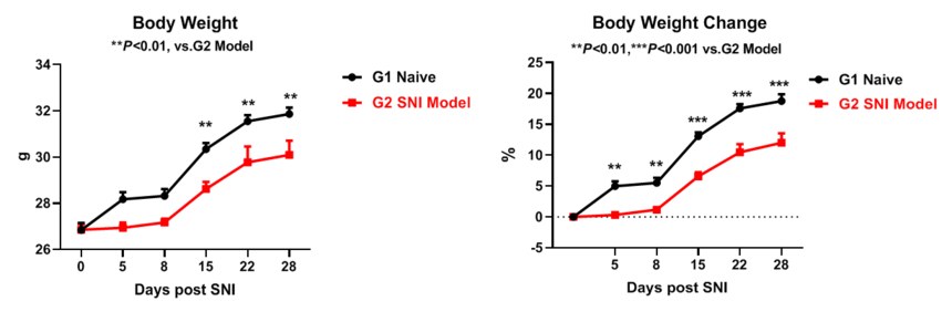 51374003.png