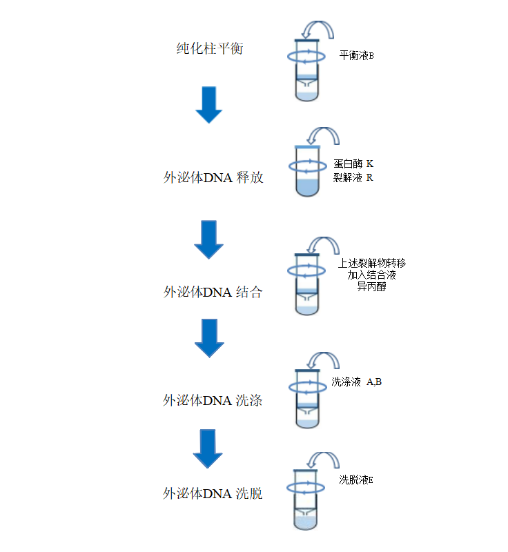 d8c899d2-d89d-4694-ae1d-4b6f8ba517a1.png