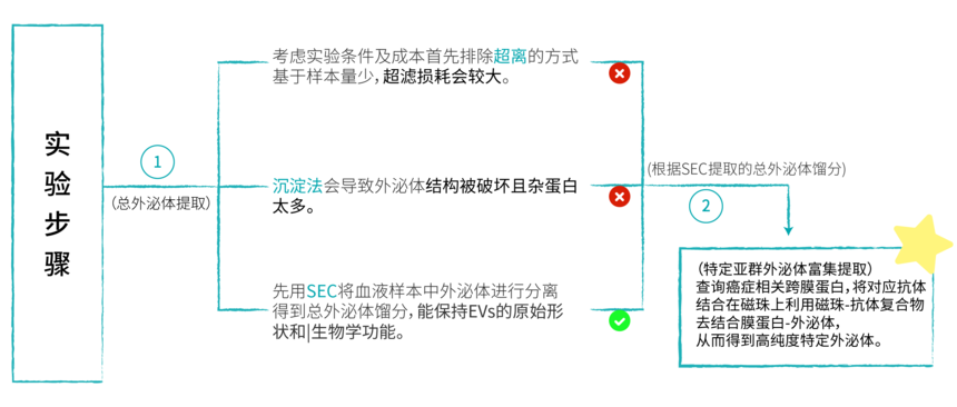 d58175f2-62c3-435d-8f4f-73b09492f0ed.png