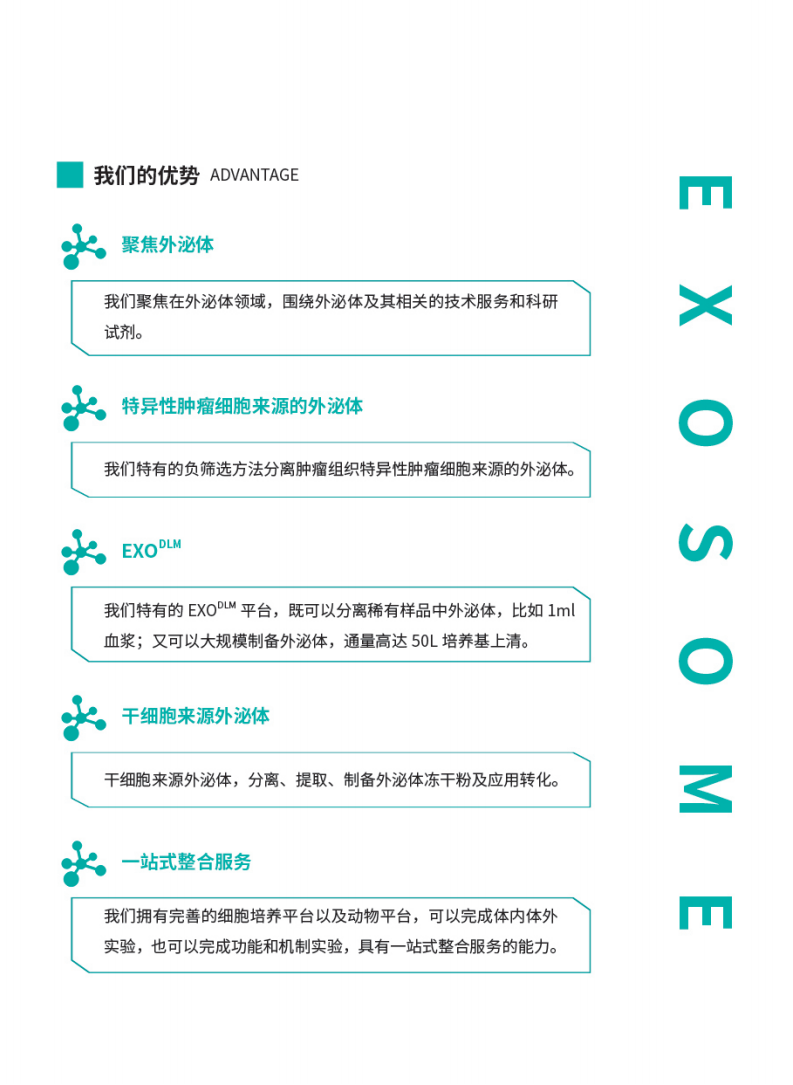 g(sh)֧֕(c)_02.png