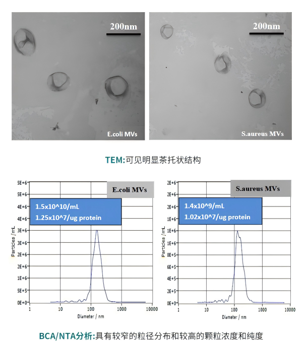 2401īI(xin)x-D3(1).png