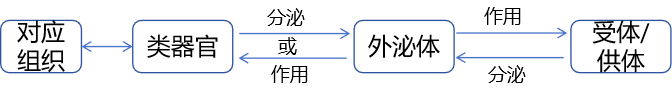 DƬ7.png