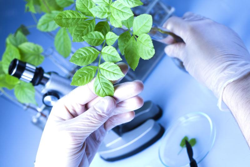 1756451086667710.png 图片3.png