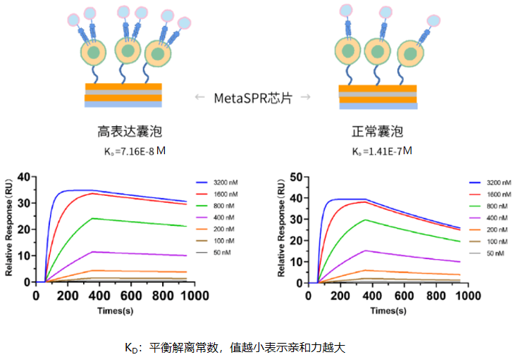 1757666949436492.png 图片5.png