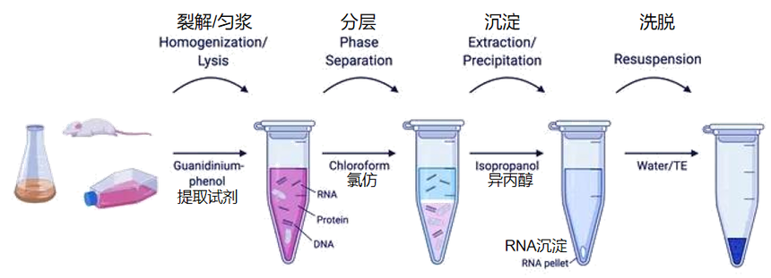1774928891619733.png 图片1.png
