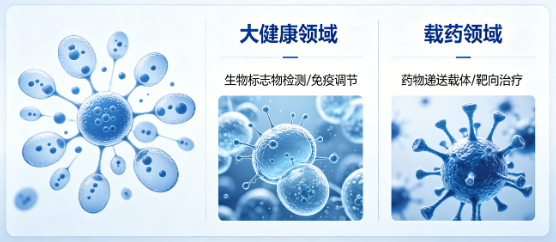1780021446890897.png 图片1.png