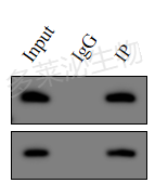 ͼƬ4.png