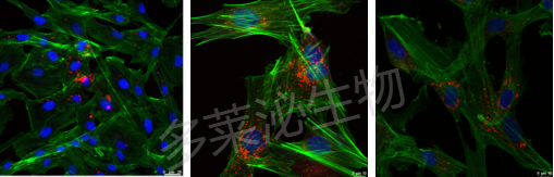 1790752967383947.png 图片1(水印).png