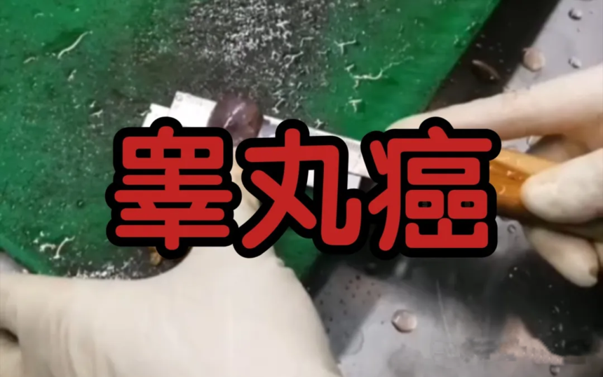 1720085114984643.png image.png