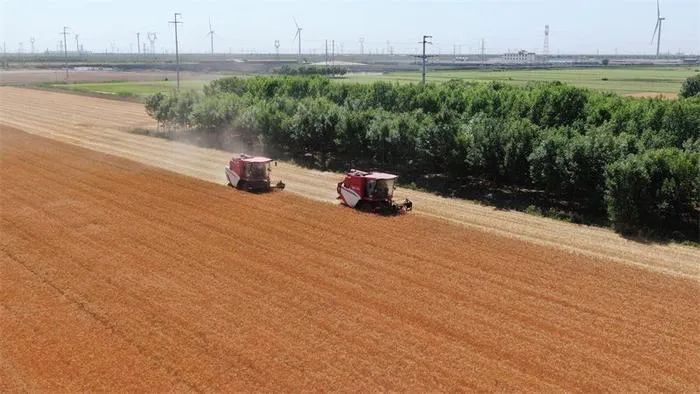 1703212080450927.jpg 776b13f294f34cc09cb2bbff18ad3ed9.jpg