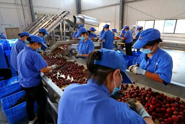 1703212116673087.png cad082851d8342b382955491d743e0fe.png