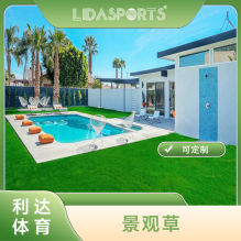休閑景觀草-人造仿真草坪