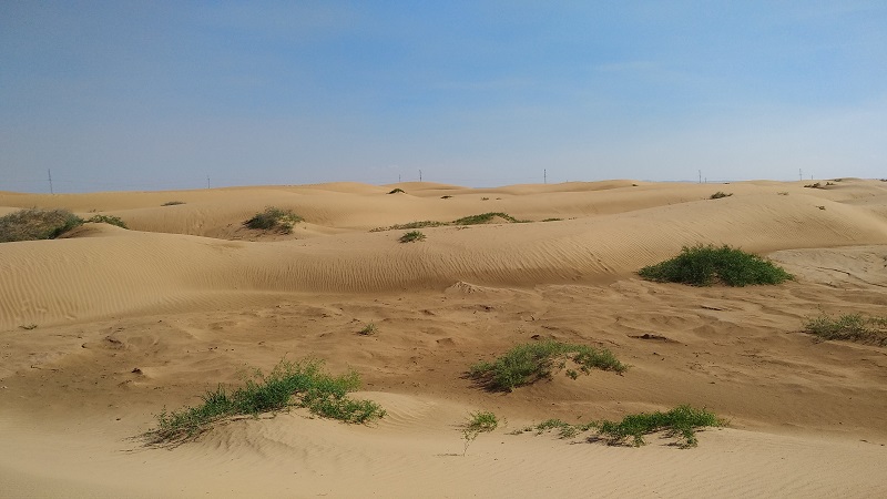 1667101968228515.jpg 21.jpg