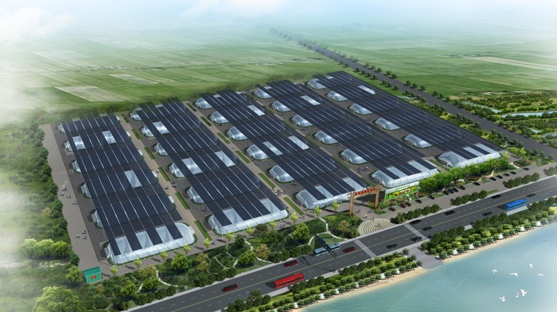 1667114052678677.jpg 4.jpg