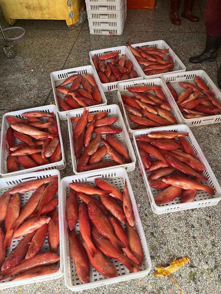 ΢ňDƬ_20221020130918.jpg