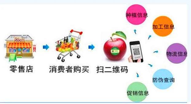 1667528592891892.png image.png