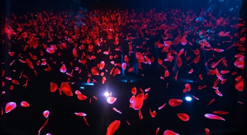 1669343097368688.jpg 6.jpg