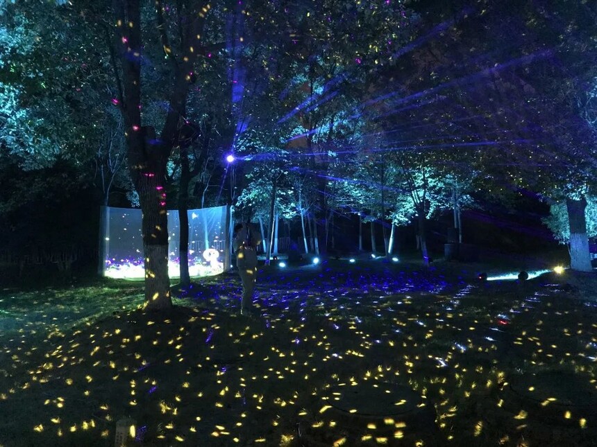 1669343142524351.jpg 7.jpg