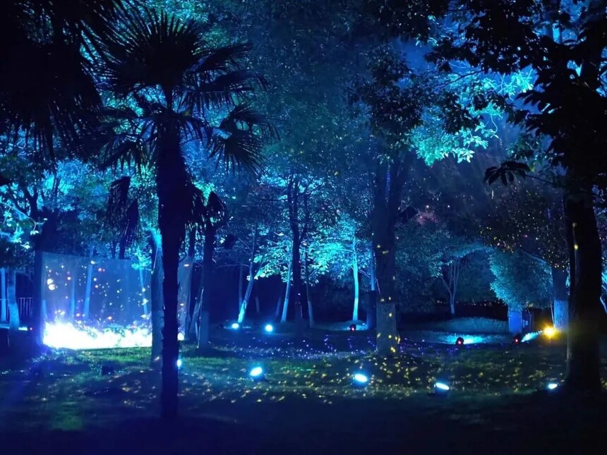 1669343151687484.jpg 8.jpg