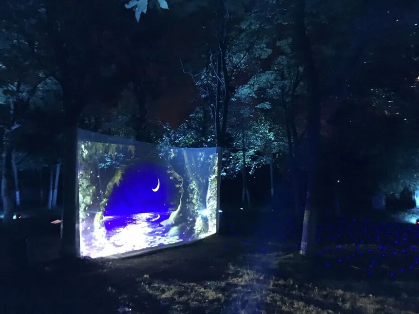 1669343198886325.jpg 10.jpg