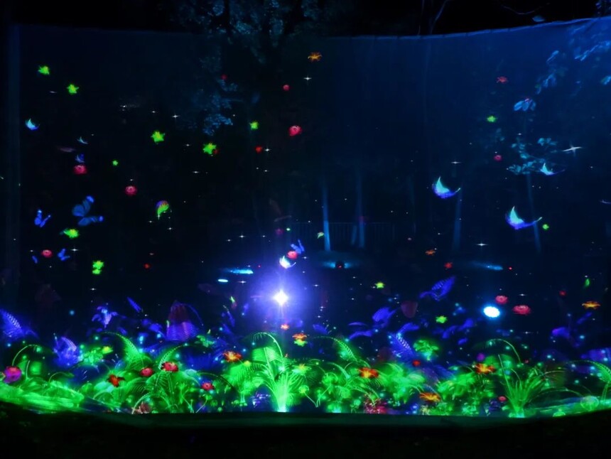 1669343208771970.jpg 11.jpg