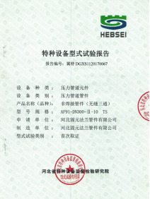特種設(shè)備型式試驗(yàn)報(bào)告