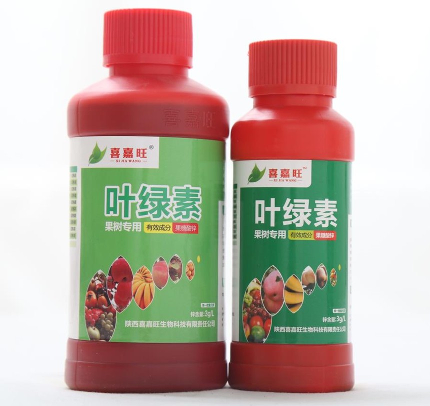 ϲ~Gأ䌣ã500g250gb.jpg