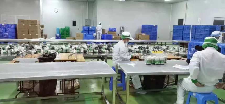 1663815040917790.png image.png