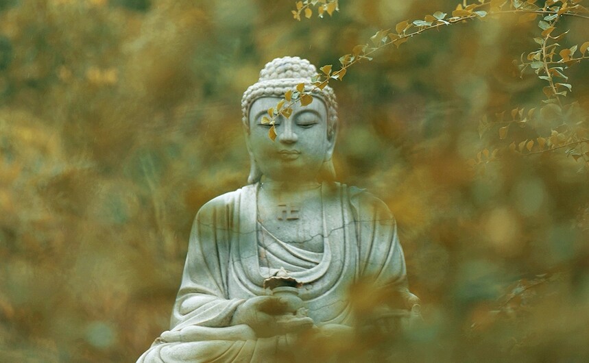 1676622070278688.jpg 1551423985946511.jpg