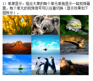 1664167866856791.png 網(wǎng)站+宣傳冊內(nèi)容(1)13572.png
