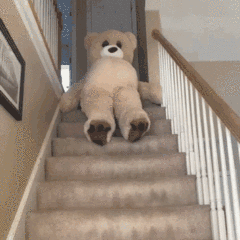 1670376994131881.gif