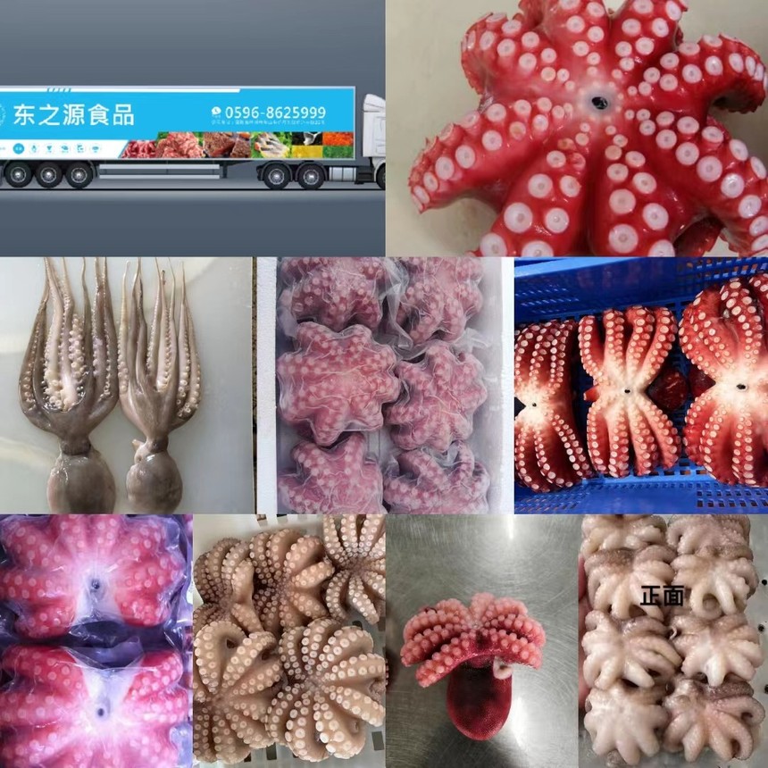 ΢ͼƬ_2022081518502910.jpg