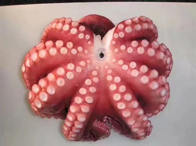 ΢ͼƬ_202208151850297.jpg