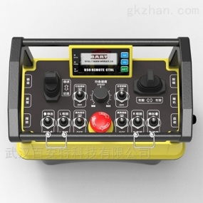 B50B0系列工業(yè)遙控器(定制)