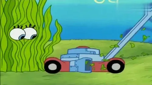 7.png