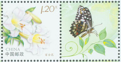 1737617082178898.jpg 个23 百合花30X30.jpg