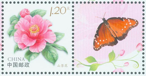1738723445549421.jpg 个23 山茶花30X30.jpg