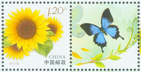 1738723457403910.jpg 个23 向日葵30X30.jpg