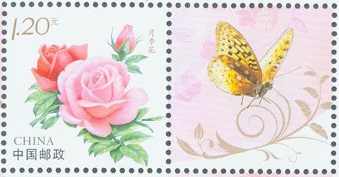 1738723518780594.jpg 个23 月季花30X30.jpg