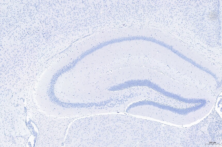 1675063364111595.jpg
