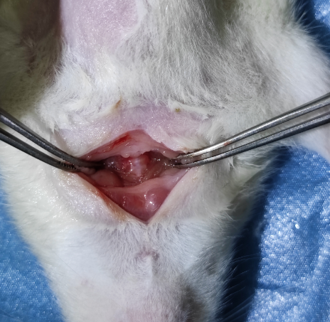 1675824854437266.png 1675824854437266.png