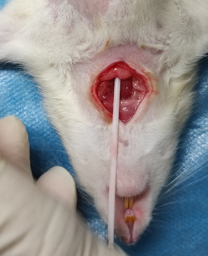 1675824855372496.png 1675824855372496.png