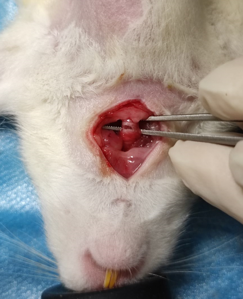 1675824855717354.png 1675824855717354.png