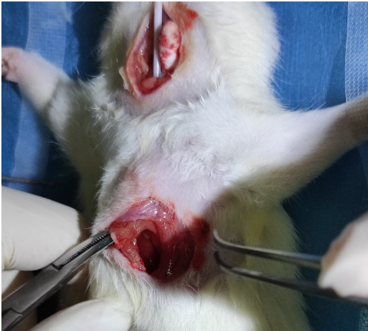 1675824971347649.png 1675824971347649.png