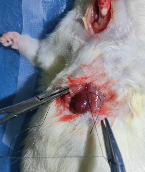 1675824972402632.png 1675824972402632.png