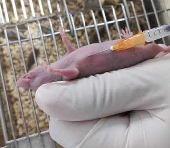 1675909952570821.png 图片.png