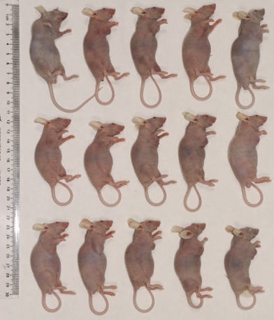 1675909992709329.png 图片.png