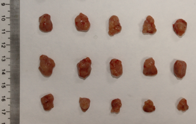 1675910010677074.png 图片.png