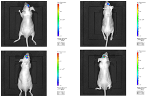 1675912295611456.png 1675912295611456.png