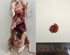 1675912304606583.png 1675912304606583.png